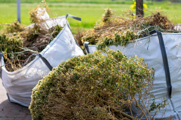 Best Shed Removal  in Madison, IN